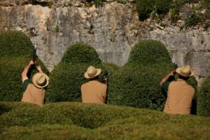 marqueyssac-jardins-taille buis