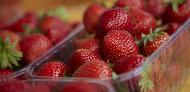 de marché dordogne fraises du périgord