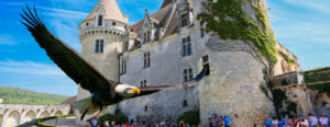 spectacles rapaces chateau des milandes