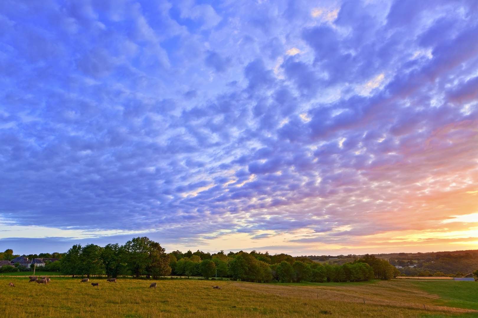 Featured image for “Quelle est la meilleure période pour visiter la Dordogne ?”