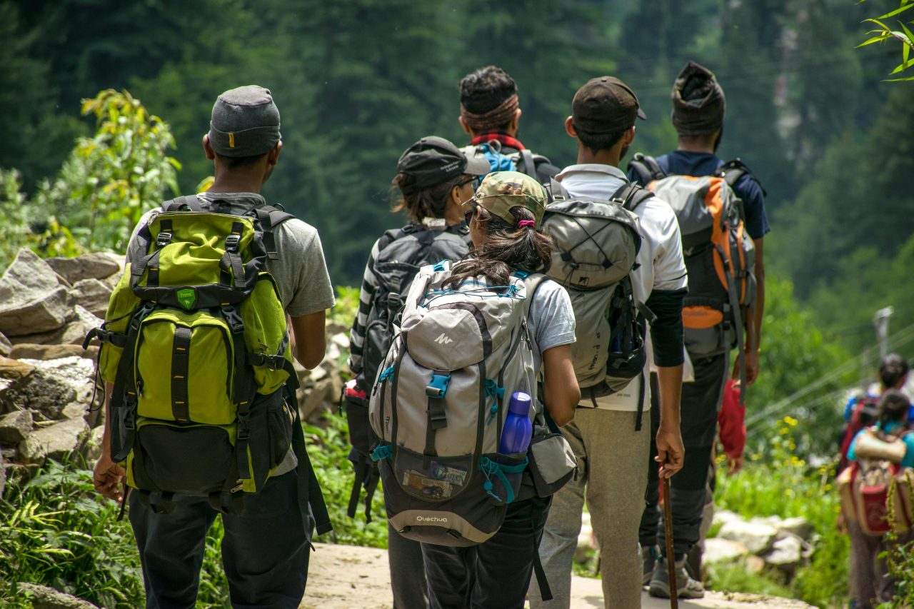 Les Gens Qui Marchent Sur La Route Près Des Arbres Pendant La Journée