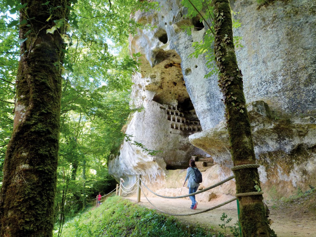 Une personne marche à travers une forêt, avec une grotte visible en arrière-plan